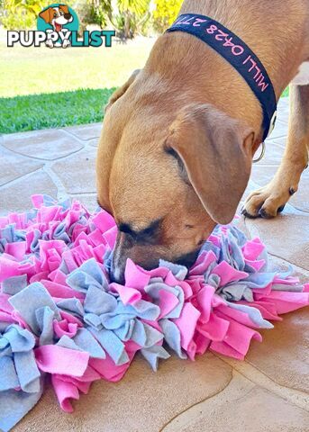 Snuffle Mats - Premium Heavy Duty Rubber Based - Pet Treat Play - Calms Anxiety - Slow Feeder - SNUFFLE-S-PUNA