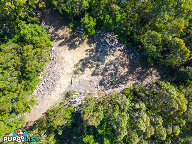 Lot 16 Lower Bobo Road ULONG NSW 2450