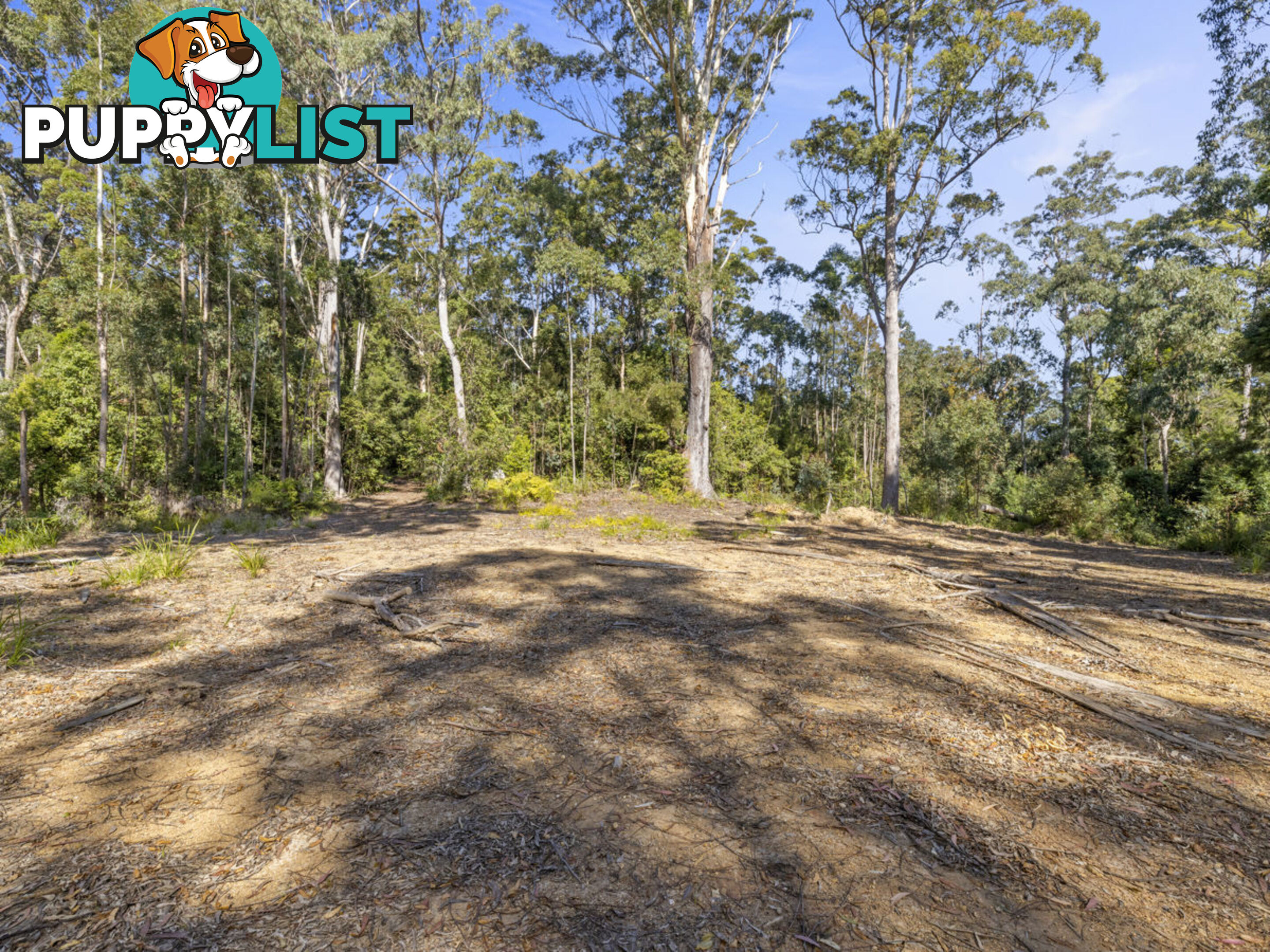 Lot 16 Lower Bobo Road ULONG NSW 2450