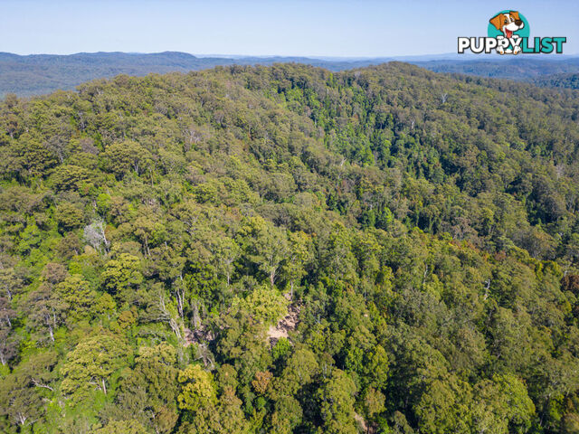 Lot 16 Lower Bobo Road ULONG NSW 2450