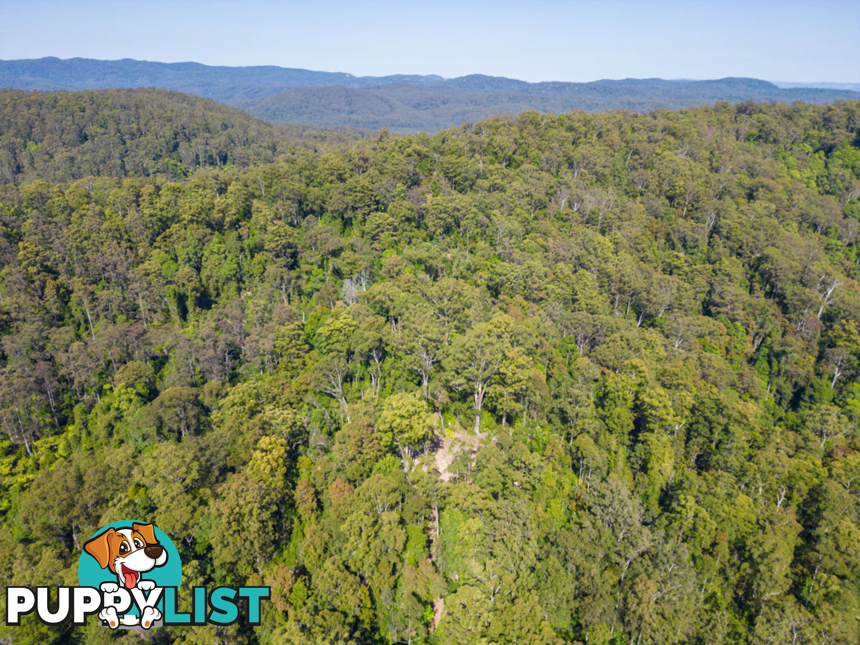 Lot 16 Lower Bobo Road ULONG NSW 2450