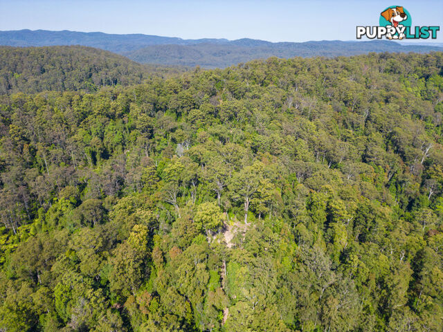 Lot 16 Lower Bobo Road ULONG NSW 2450