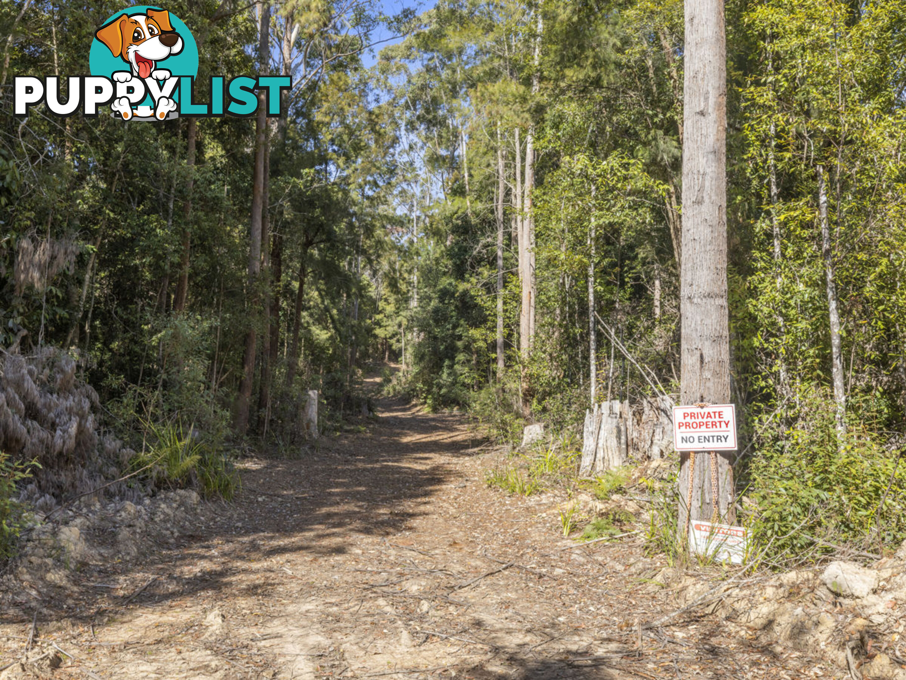 Lot 16 Lower Bobo Road ULONG NSW 2450