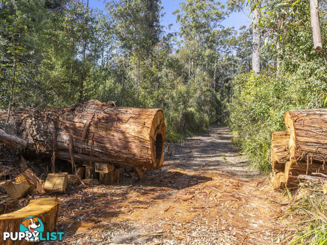 Lot 16 Lower Bobo Road ULONG NSW 2450