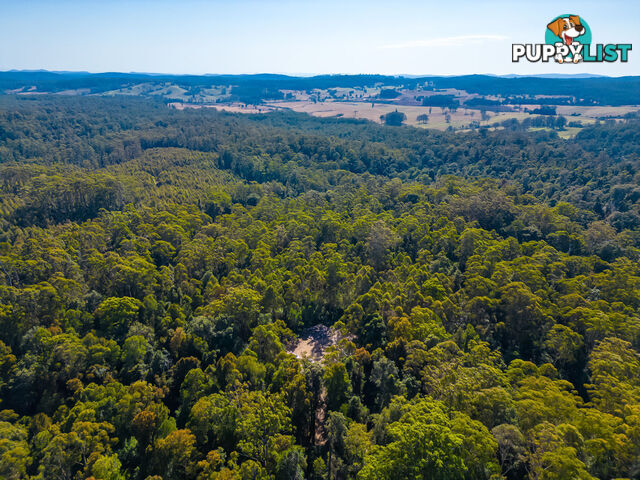 Lot 16 Lower Bobo Road ULONG NSW 2450