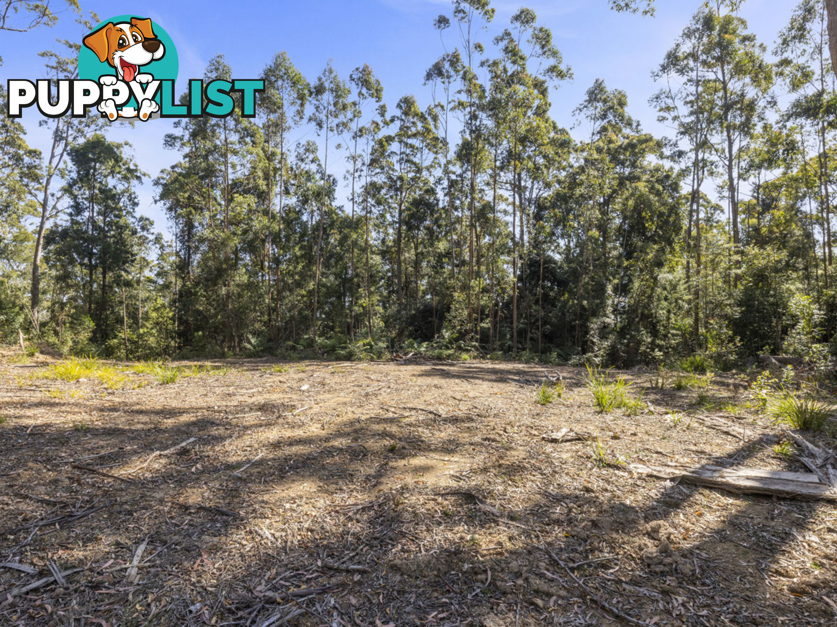 Lot 16 Lower Bobo Road ULONG NSW 2450