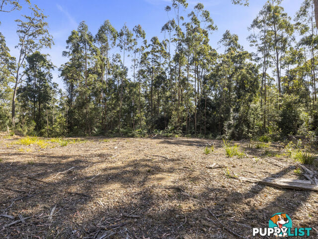 Lot 16 Lower Bobo Road ULONG NSW 2450