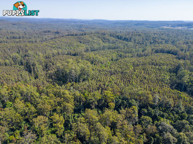 Lot 16 Lower Bobo Road ULONG NSW 2450