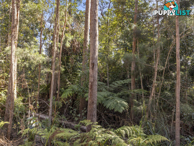 Lot 16 Lower Bobo Road ULONG NSW 2450