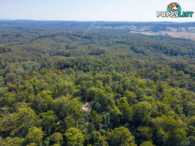 Lot 16 Lower Bobo Road ULONG NSW 2450