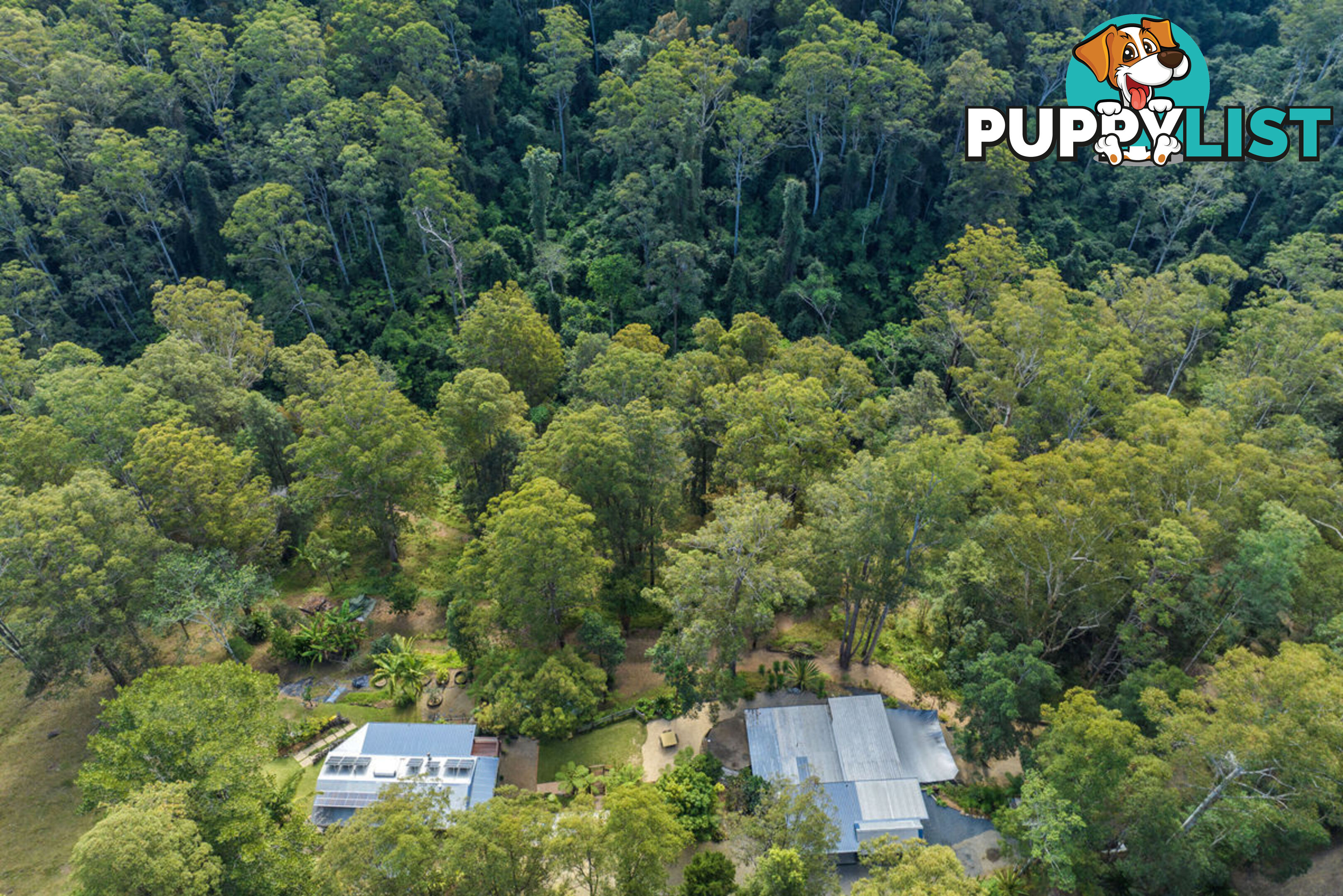 34 Kalang Road BELLINGEN NSW 2454