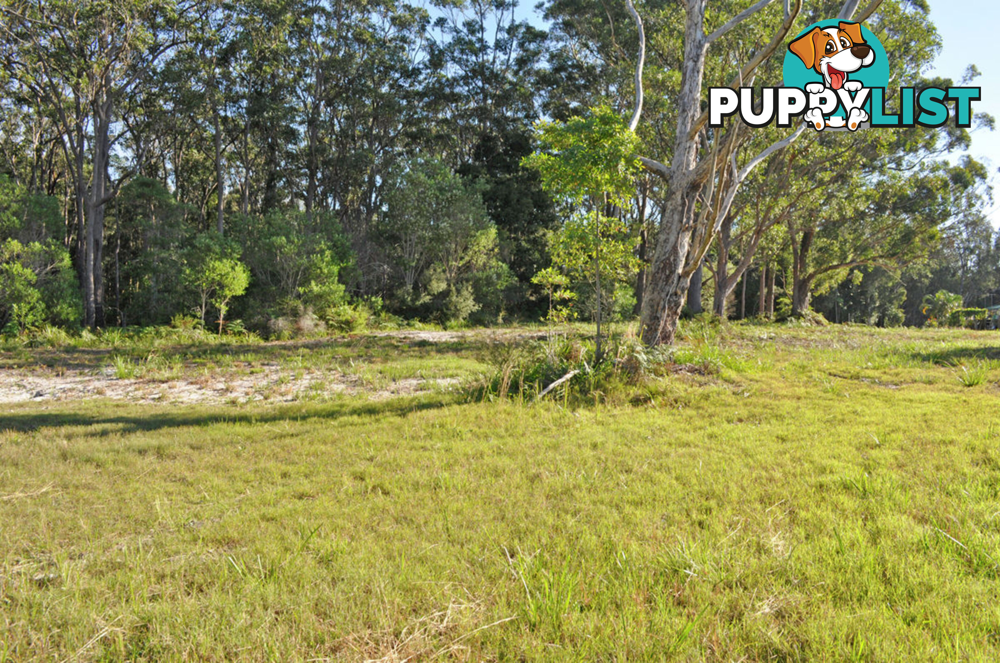 4 Rutland Street NAMBUCCA HEADS NSW 2448