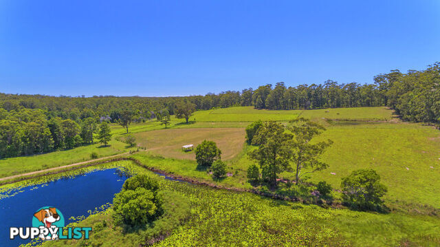 211 Ballards Road URUNGA NSW 2455