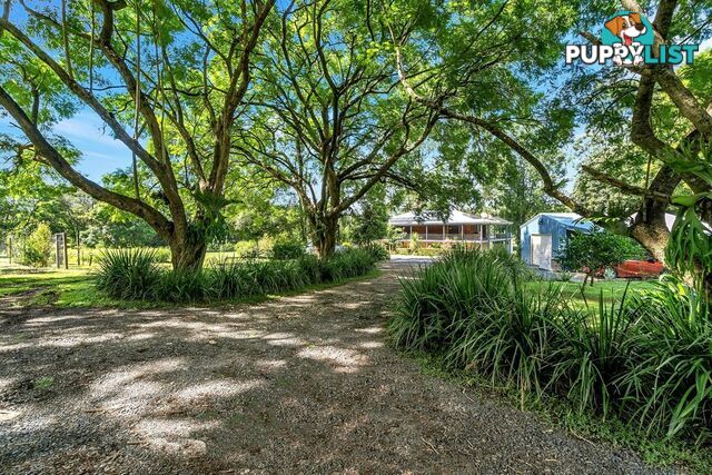 457 Summervilles Road BELLINGEN NSW 2454