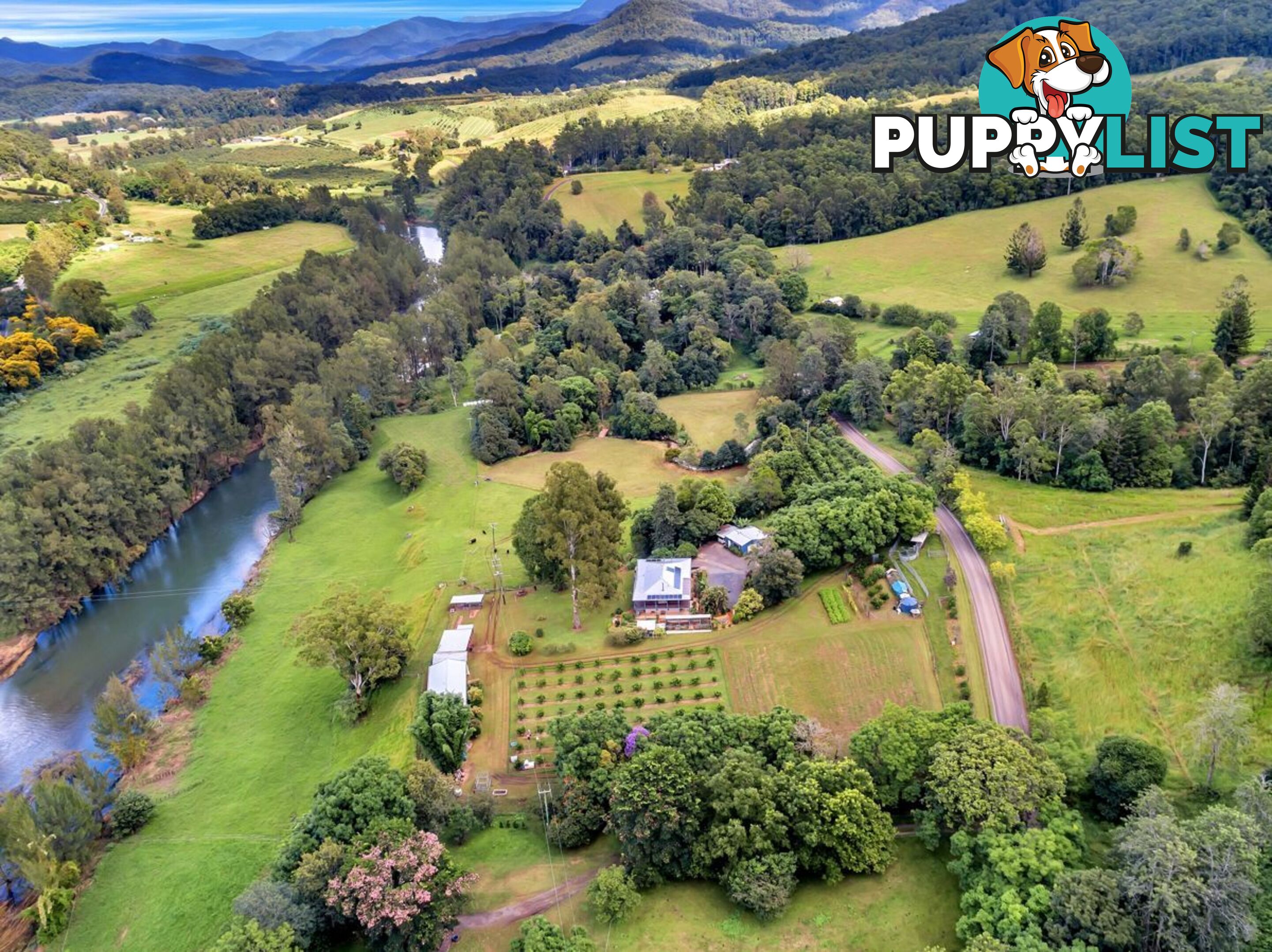 457 Summervilles Road BELLINGEN NSW 2454