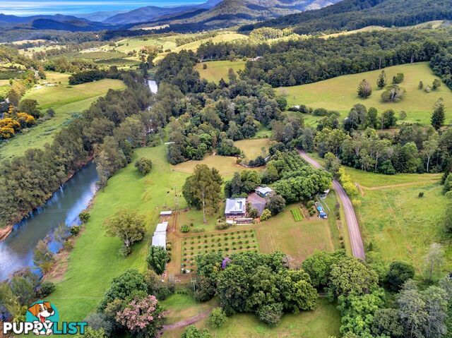 457 Summervilles Road BELLINGEN NSW 2454