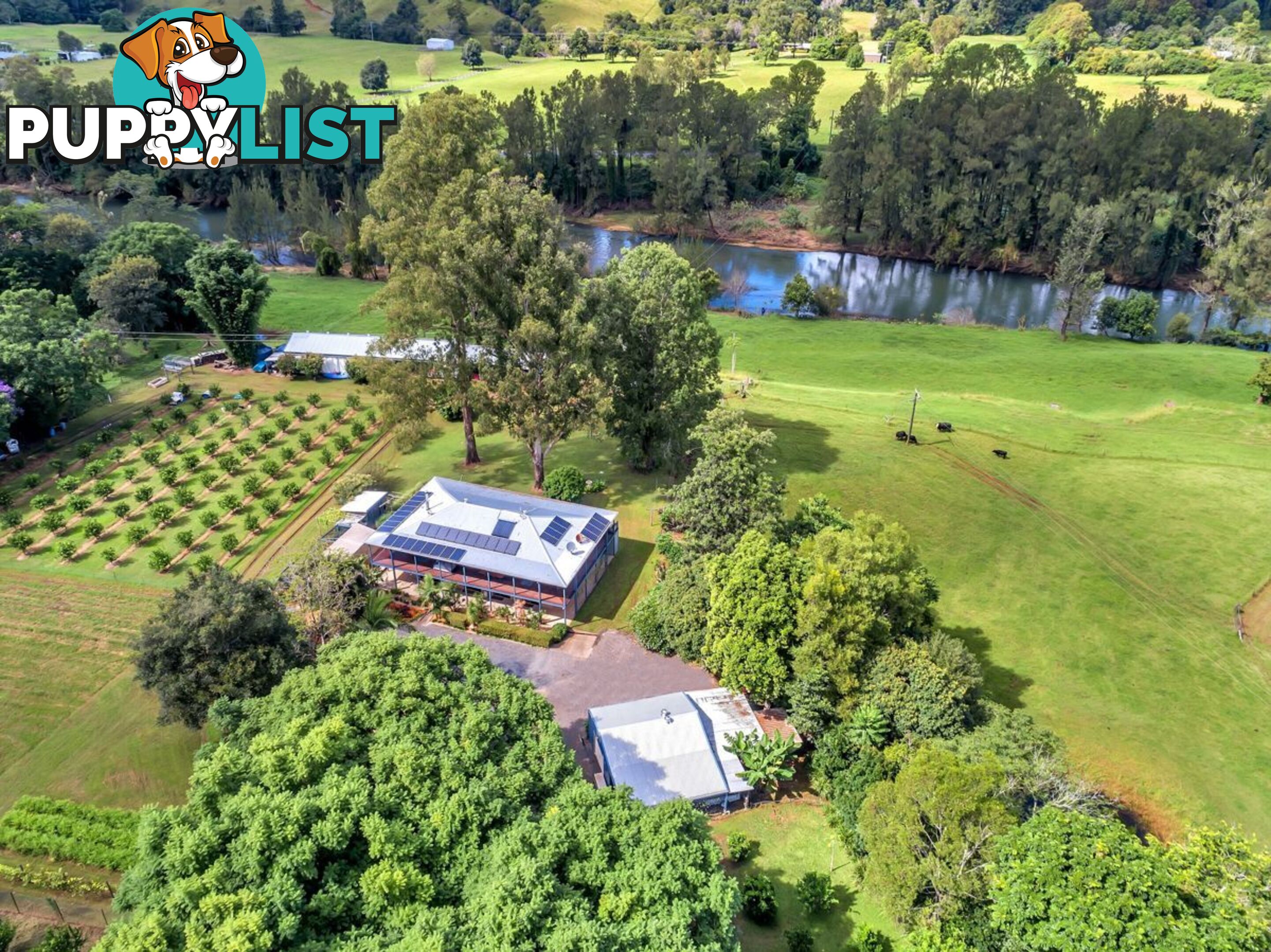 457 Summervilles Road BELLINGEN NSW 2454