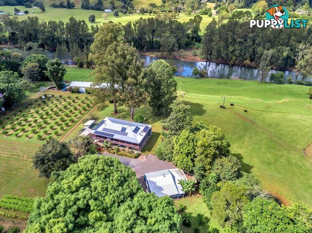 457 Summervilles Road BELLINGEN NSW 2454