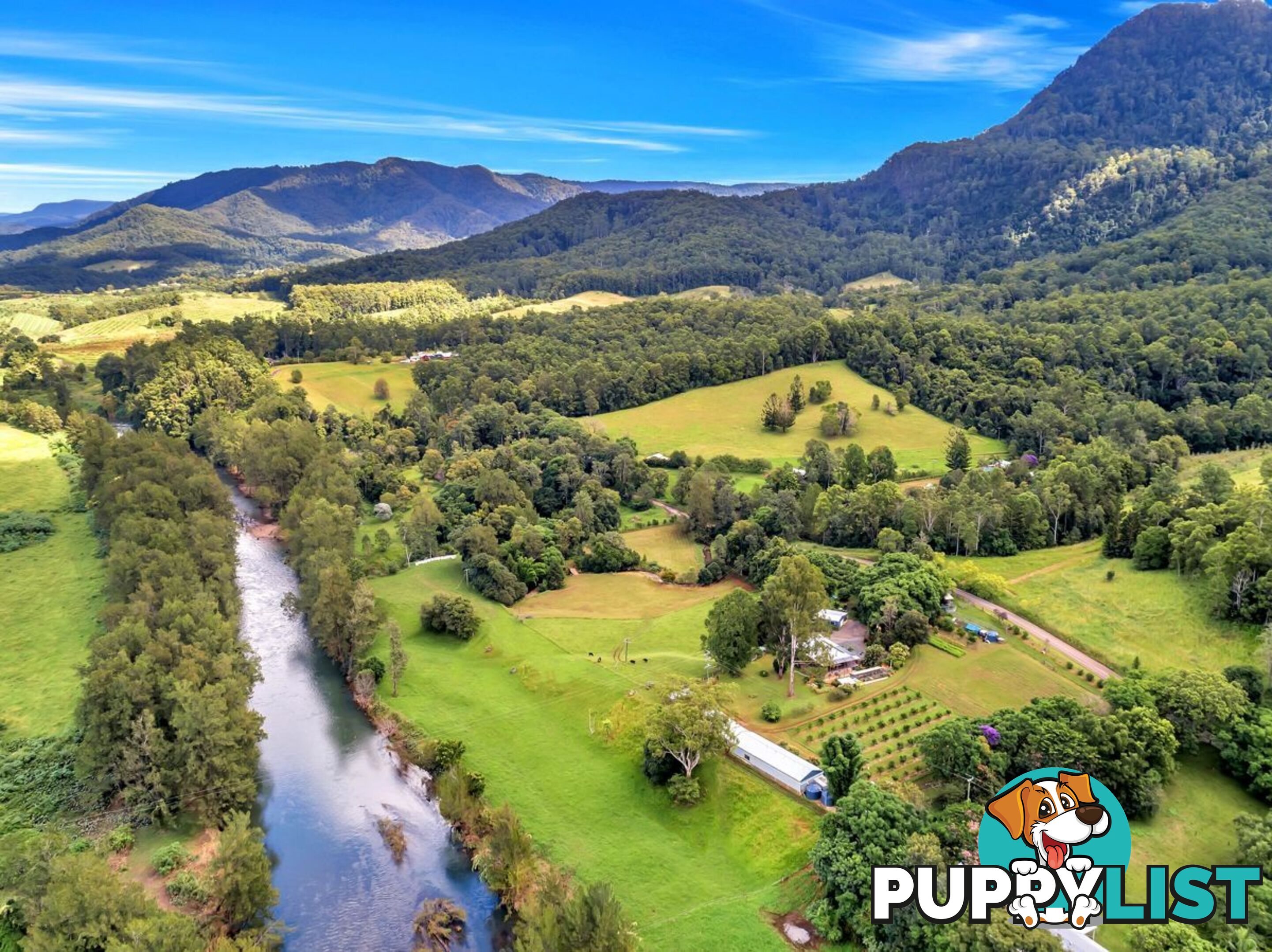 457 Summervilles Road BELLINGEN NSW 2454