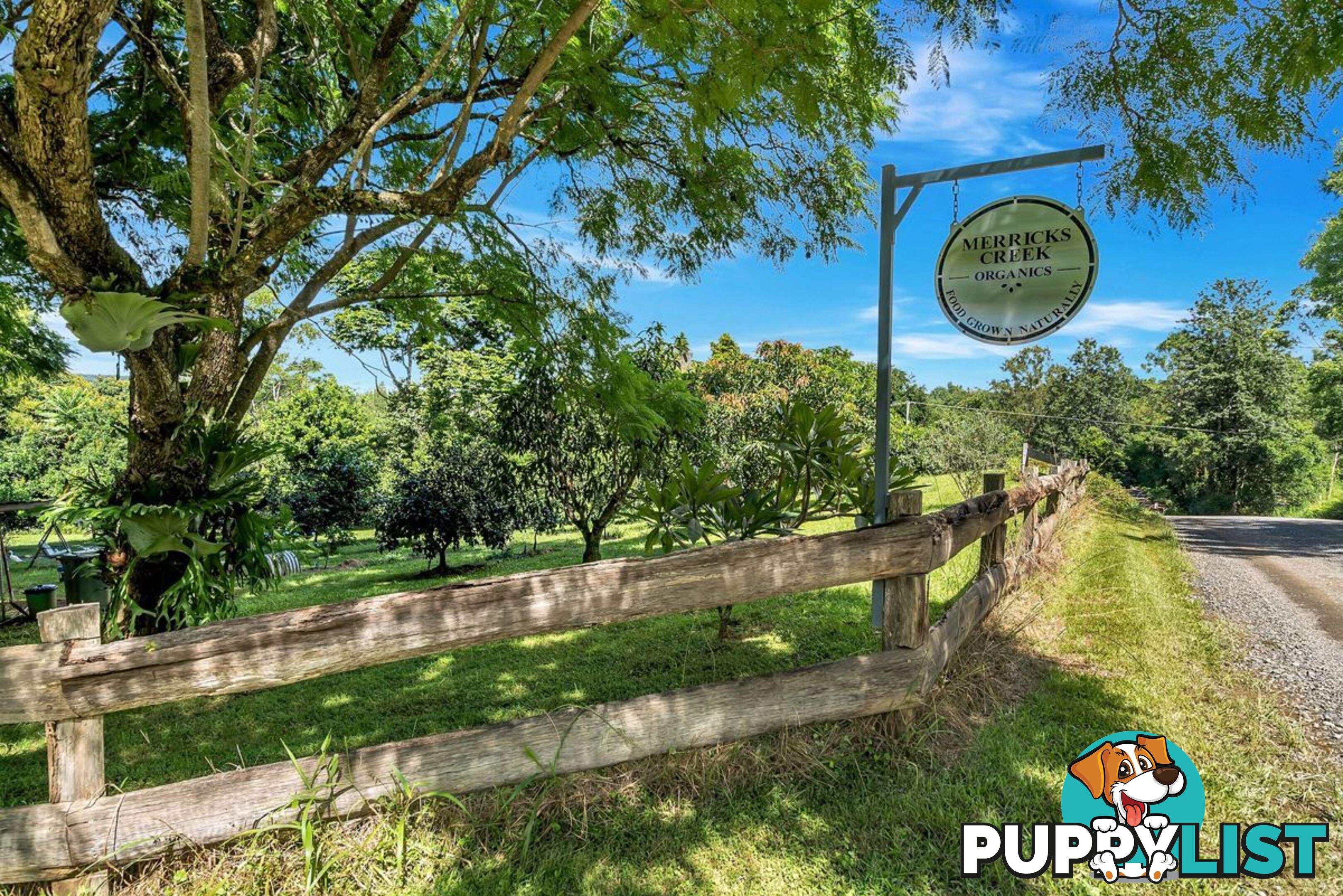 457 Summervilles Road BELLINGEN NSW 2454