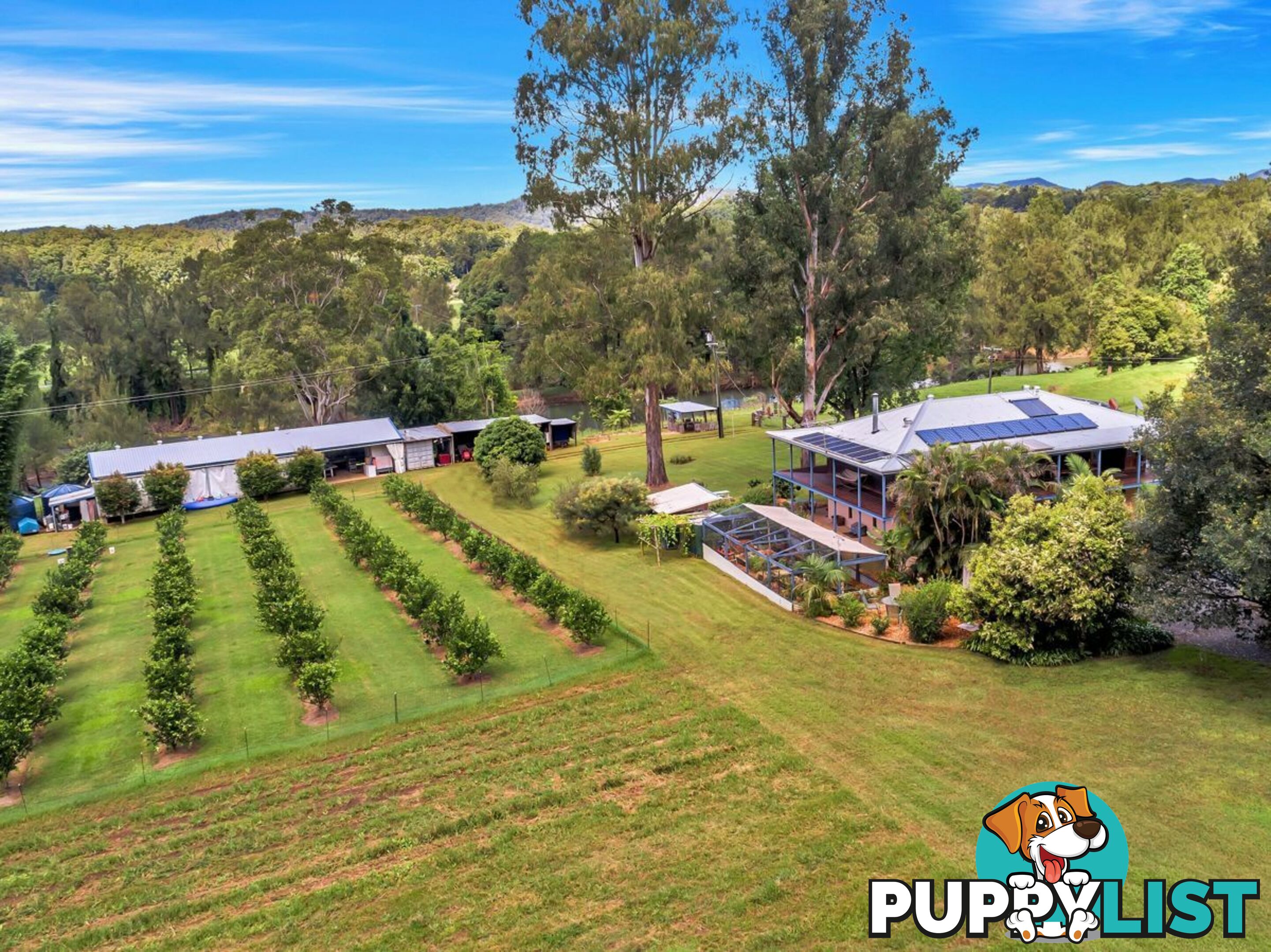 457 Summervilles Road BELLINGEN NSW 2454