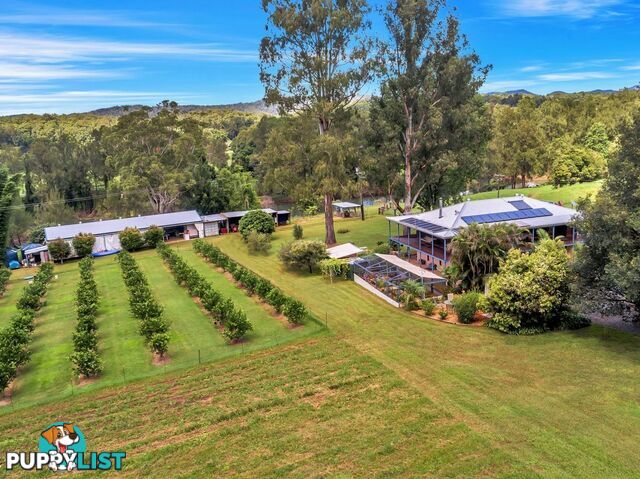 457 Summervilles Road BELLINGEN NSW 2454