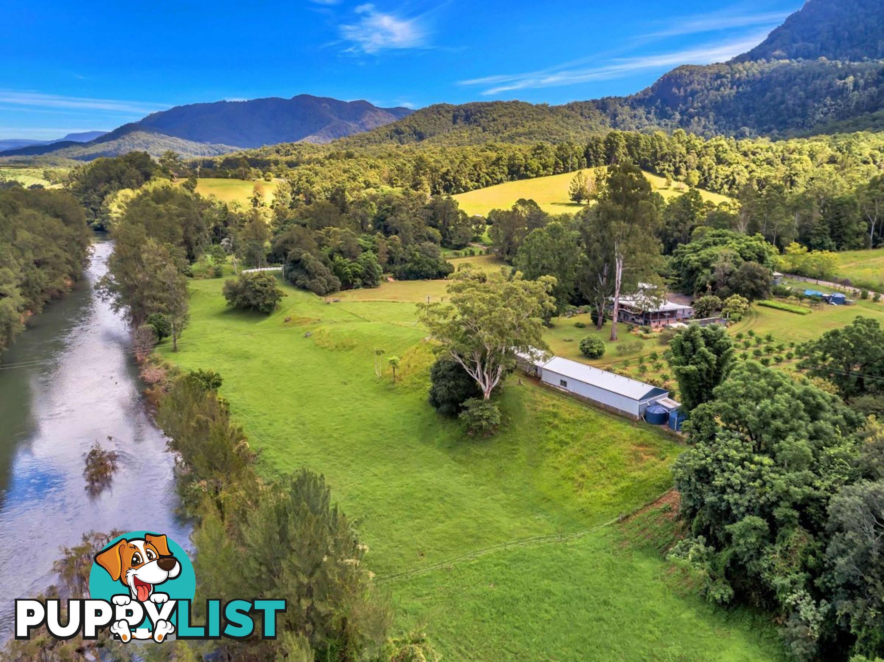 457 Summervilles Road BELLINGEN NSW 2454