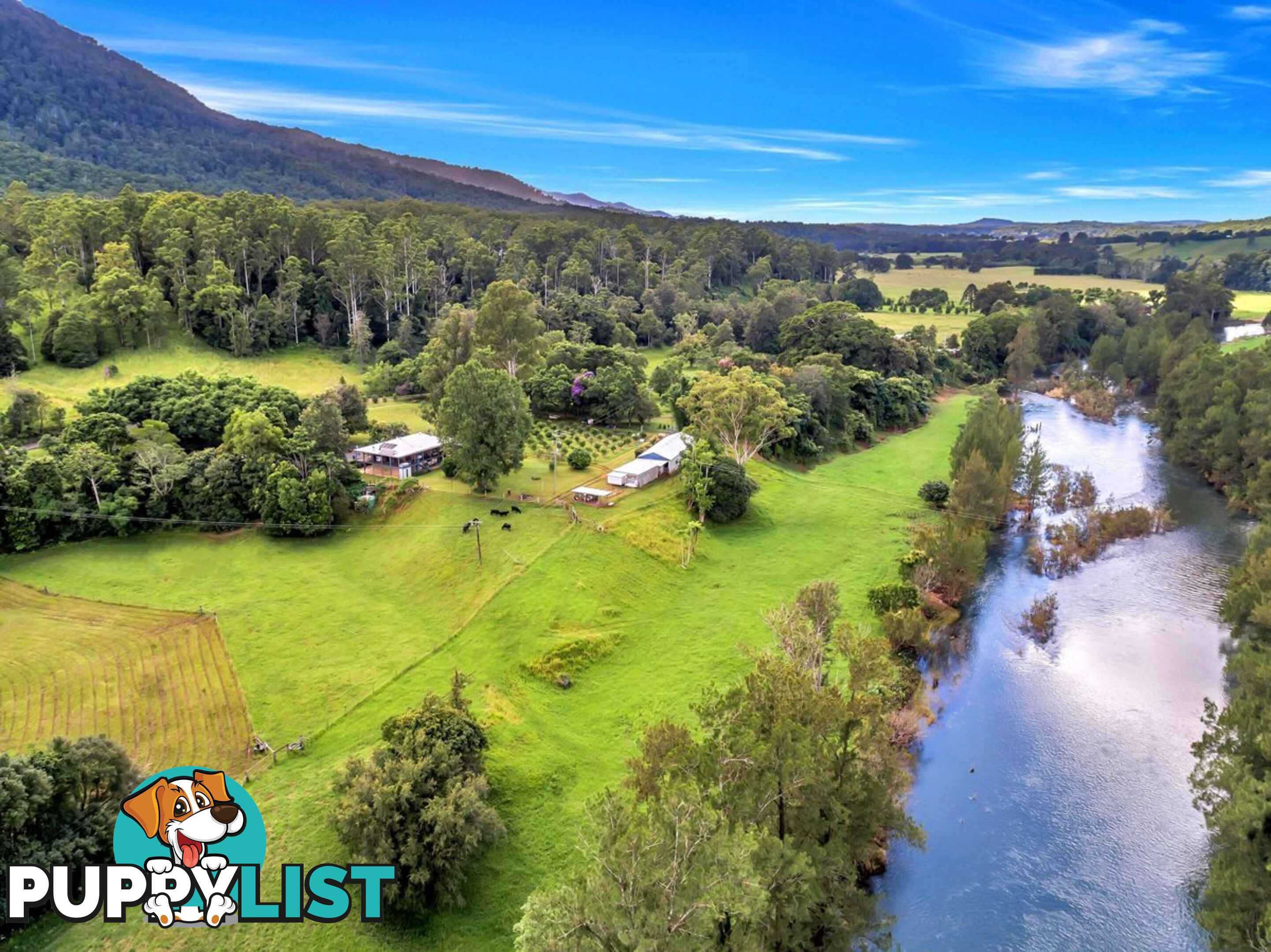 457 Summervilles Road BELLINGEN NSW 2454