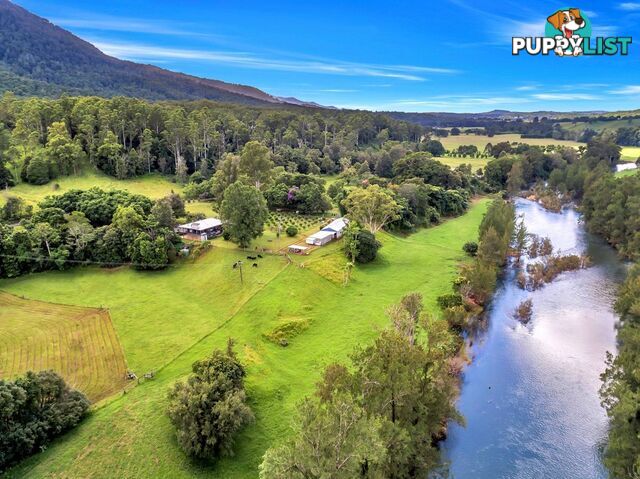 457 Summervilles Road BELLINGEN NSW 2454