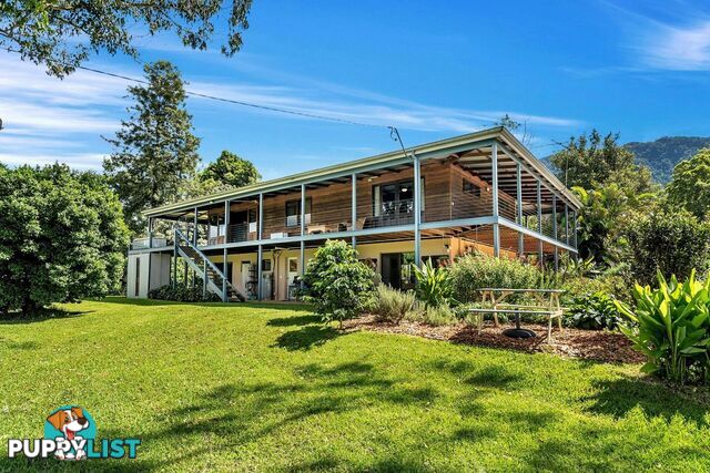 457 Summervilles Road BELLINGEN NSW 2454