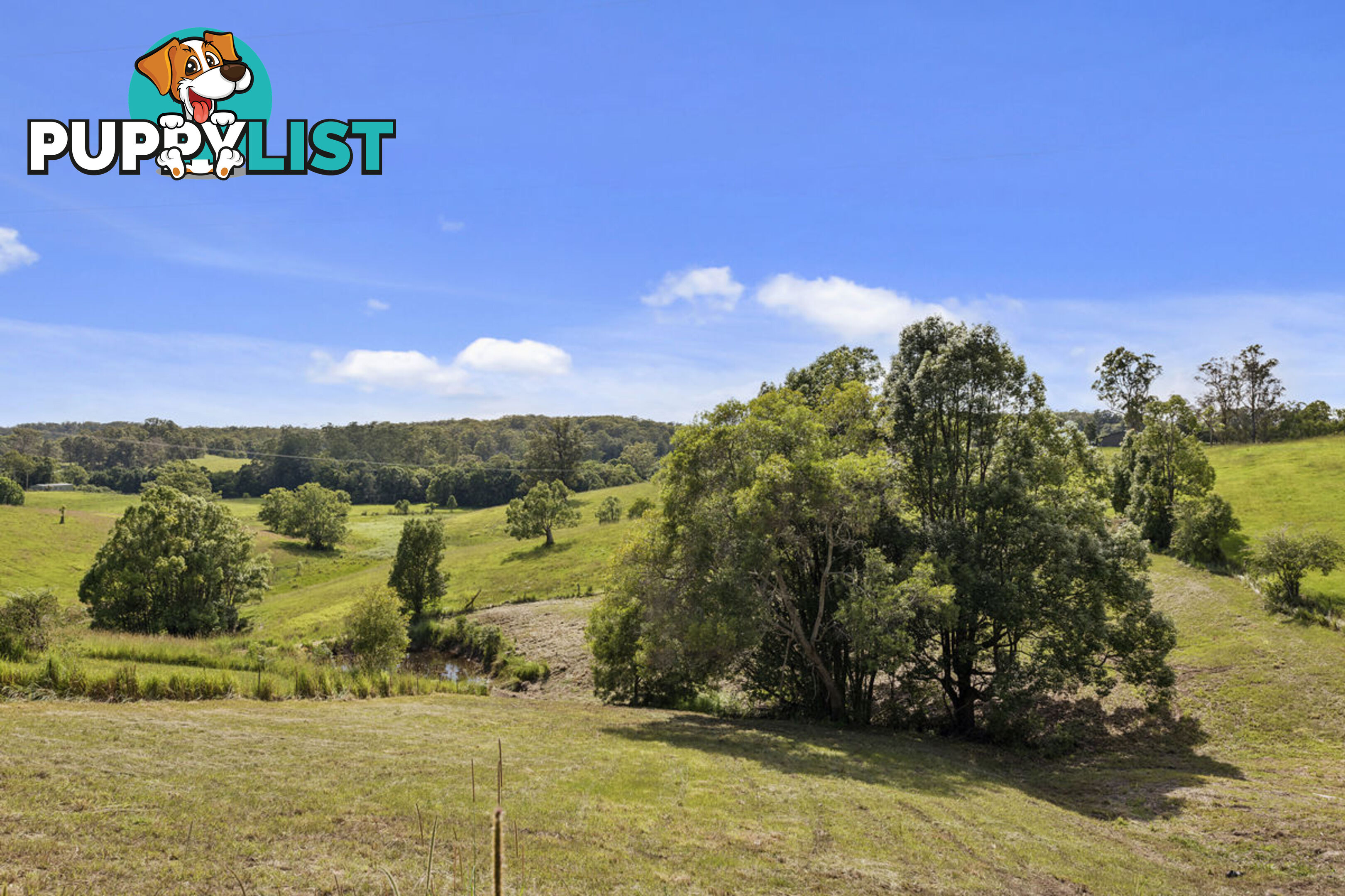 128 Hydes Creek Road BELLINGEN NSW 2454