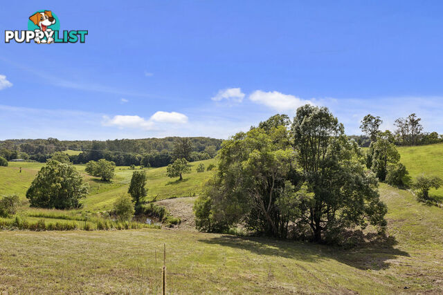 128 Hydes Creek Road BELLINGEN NSW 2454