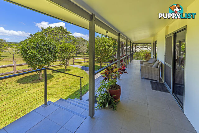 937 North Bank Road BELLINGEN NSW 2454