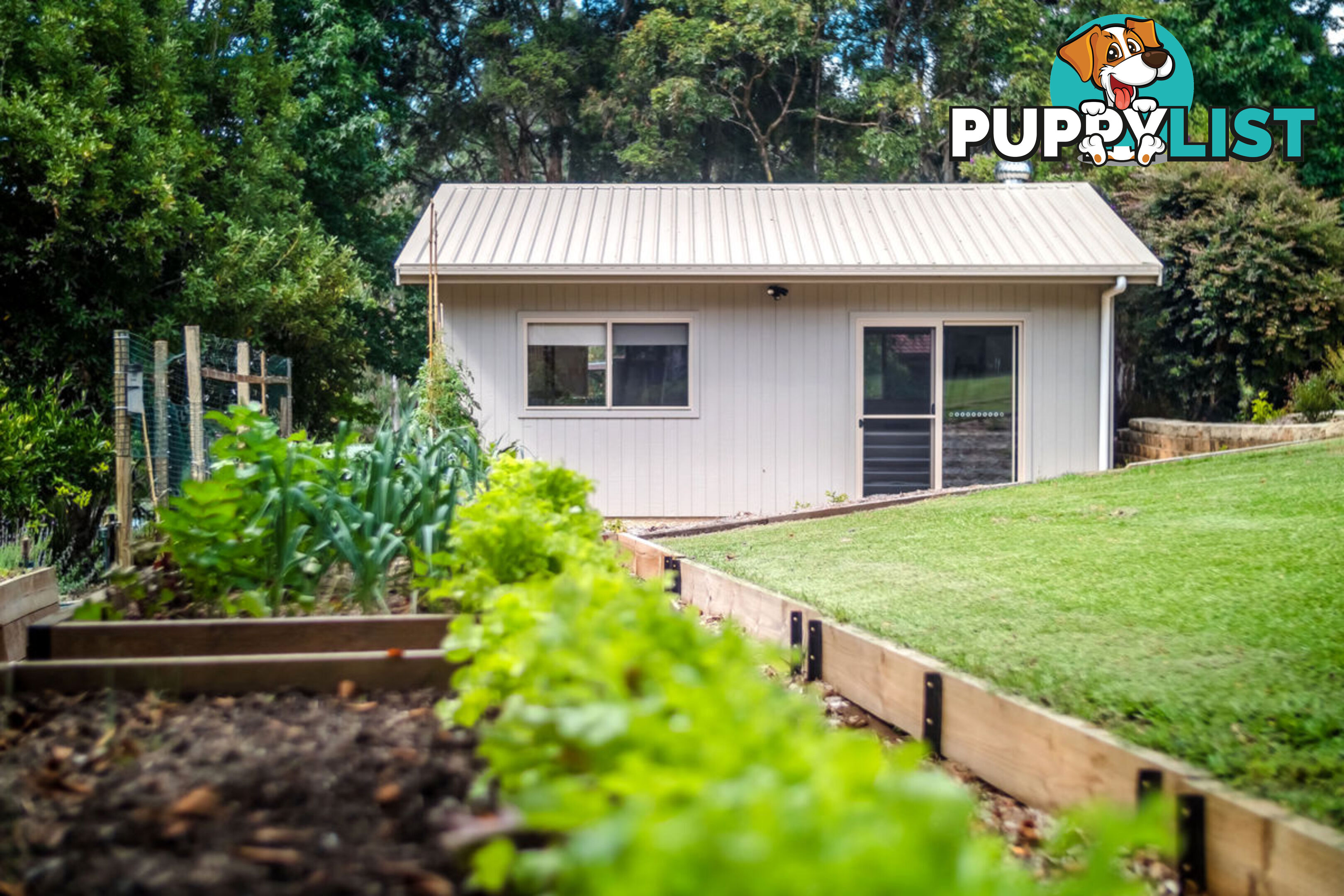 2 Tibouchina Close BELLINGEN NSW 2454