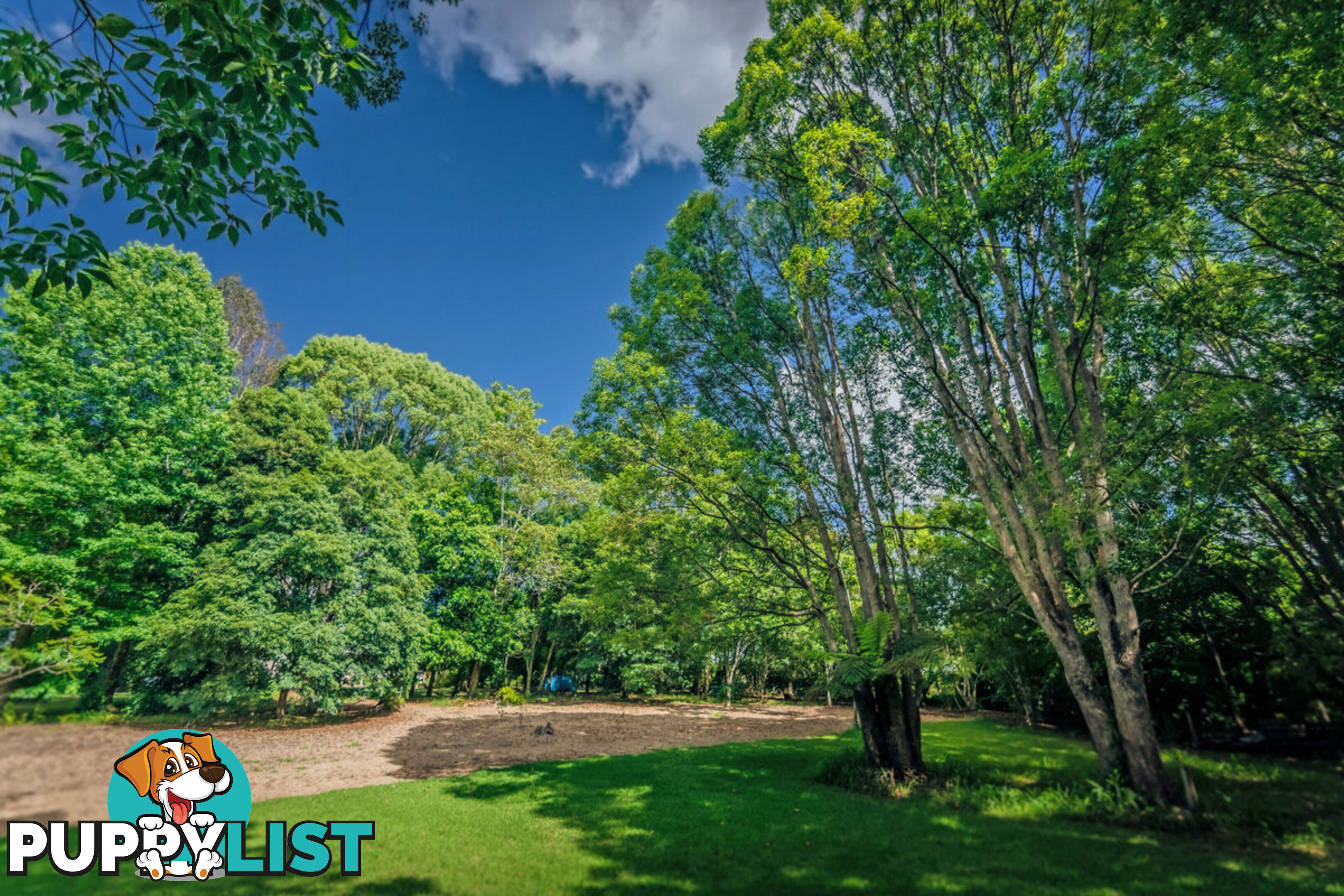 2 Tibouchina Close BELLINGEN NSW 2454