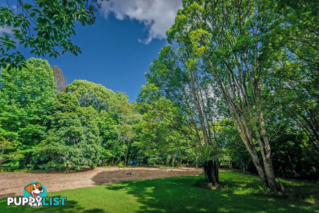 2 Tibouchina Close BELLINGEN NSW 2454