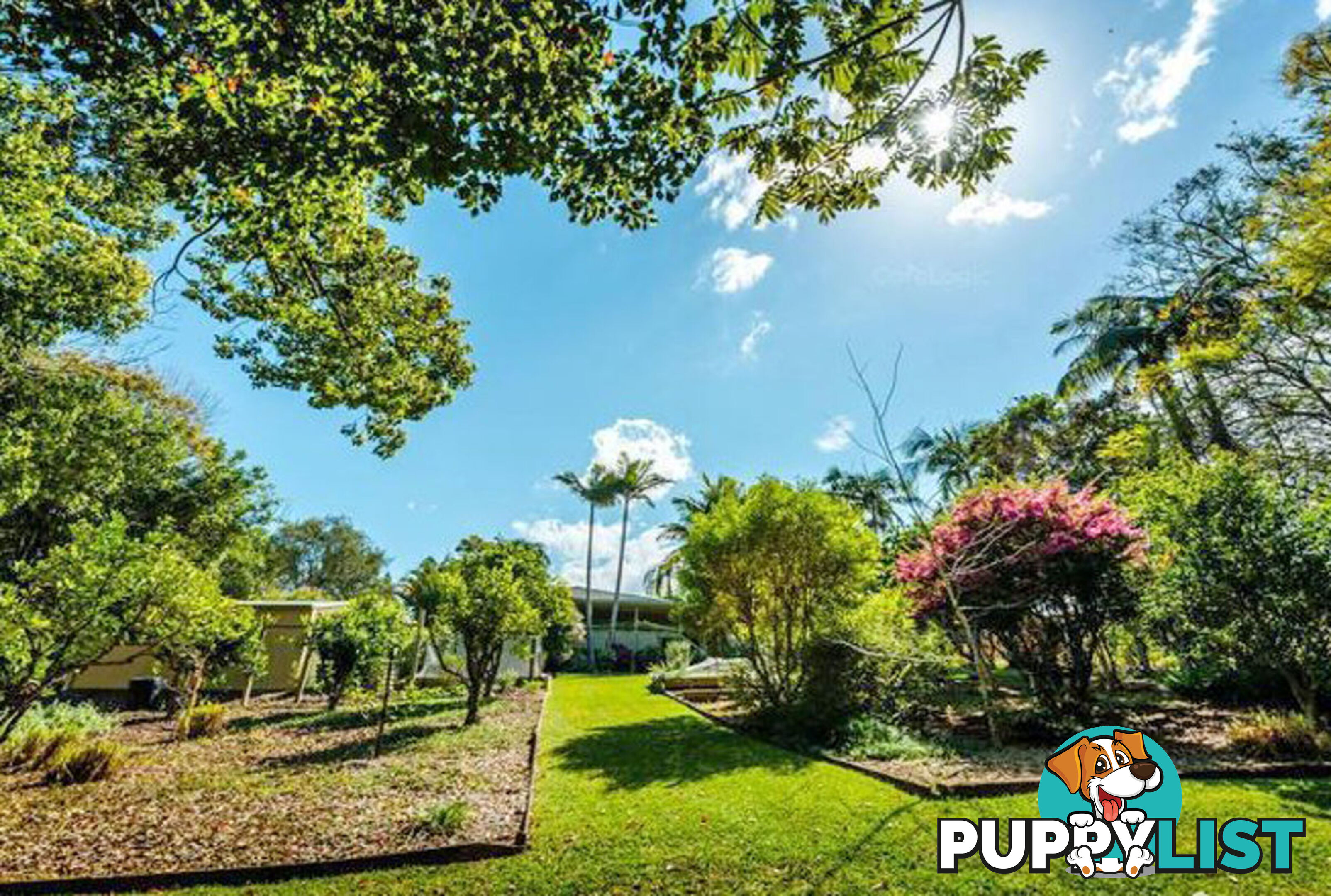 2 Tibouchina Close BELLINGEN NSW 2454