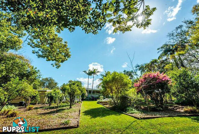 2 Tibouchina Close BELLINGEN NSW 2454