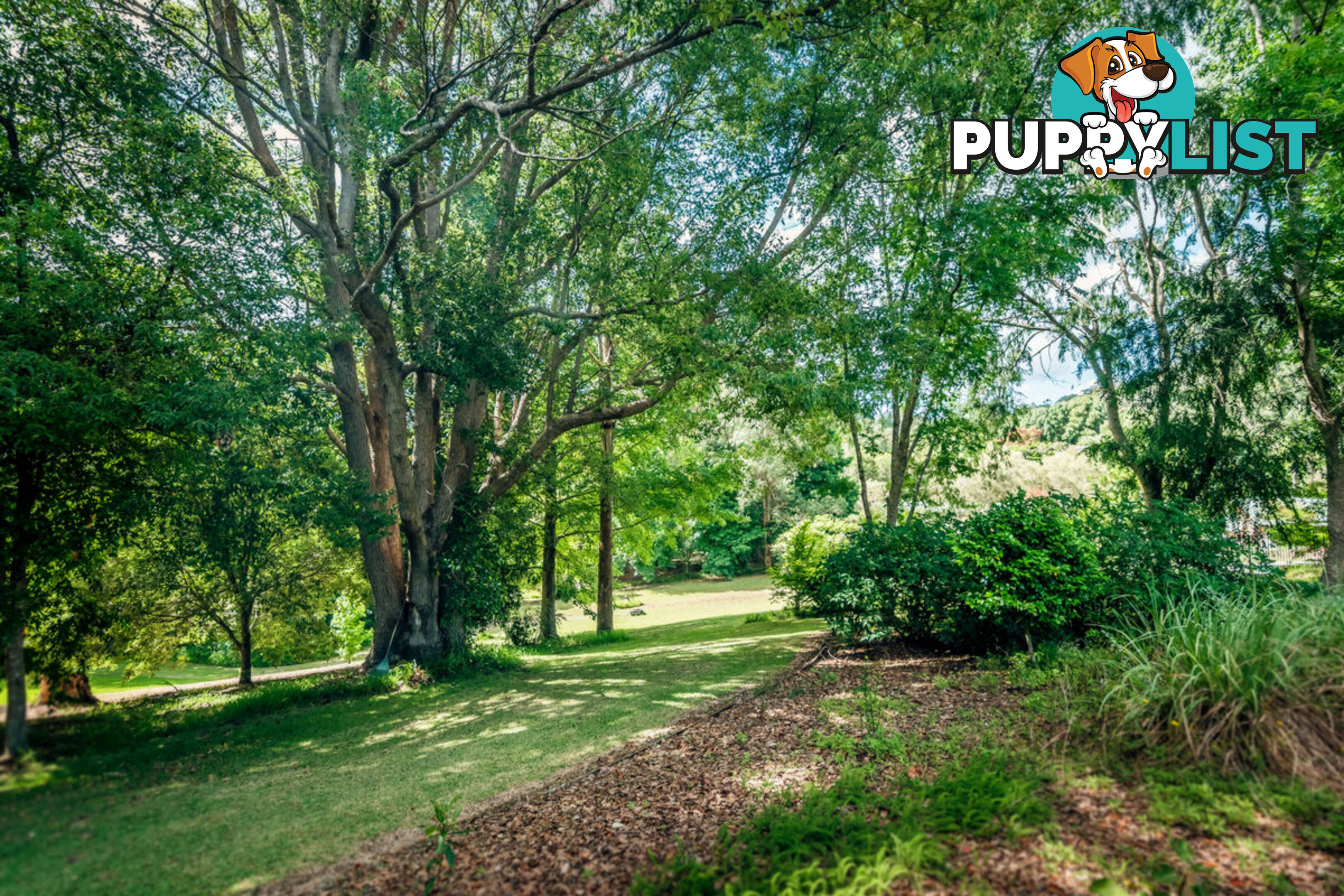 2 Tibouchina Close BELLINGEN NSW 2454