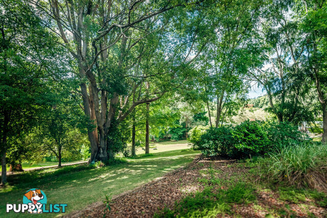 2 Tibouchina Close BELLINGEN NSW 2454