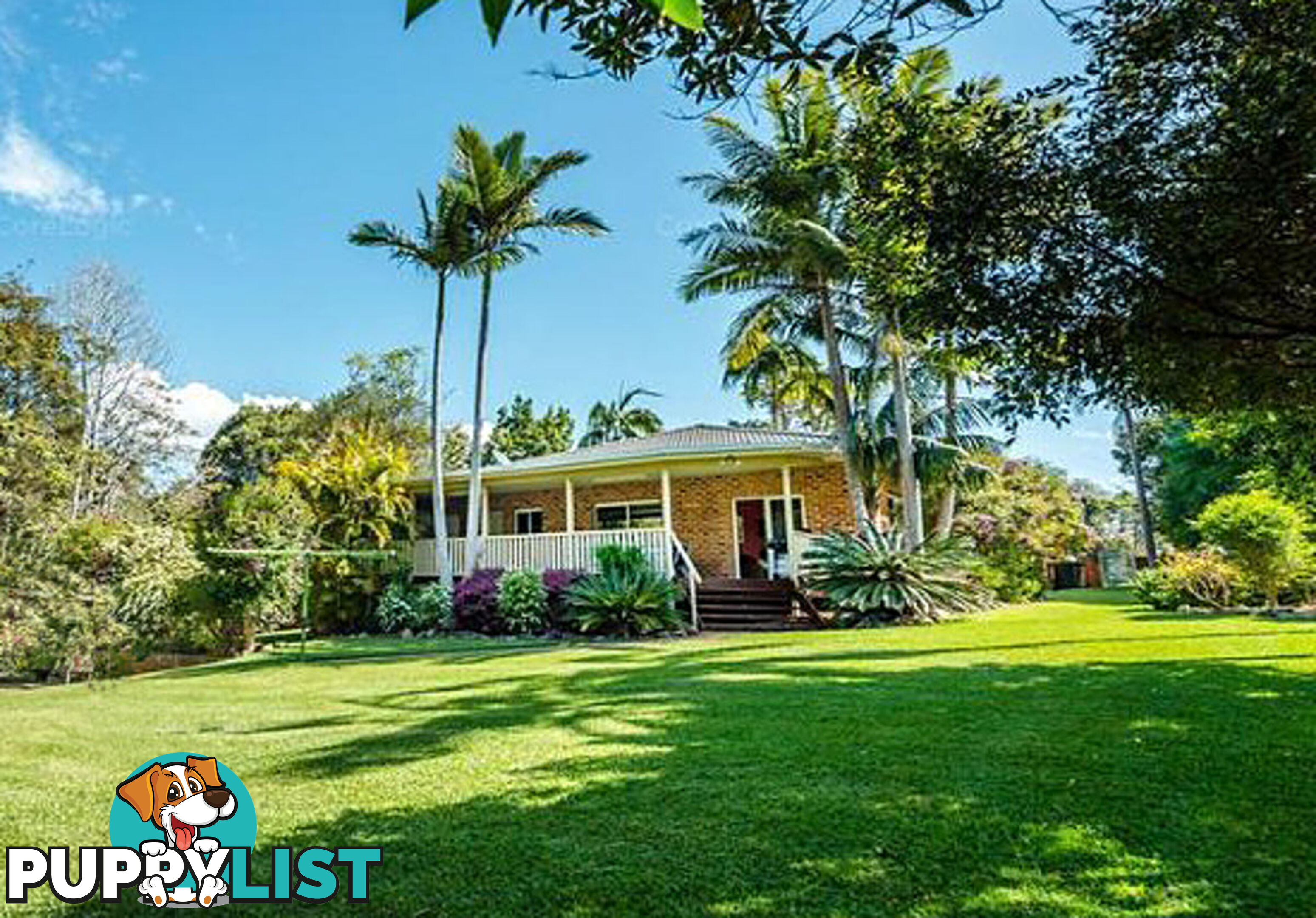 2 Tibouchina Close BELLINGEN NSW 2454