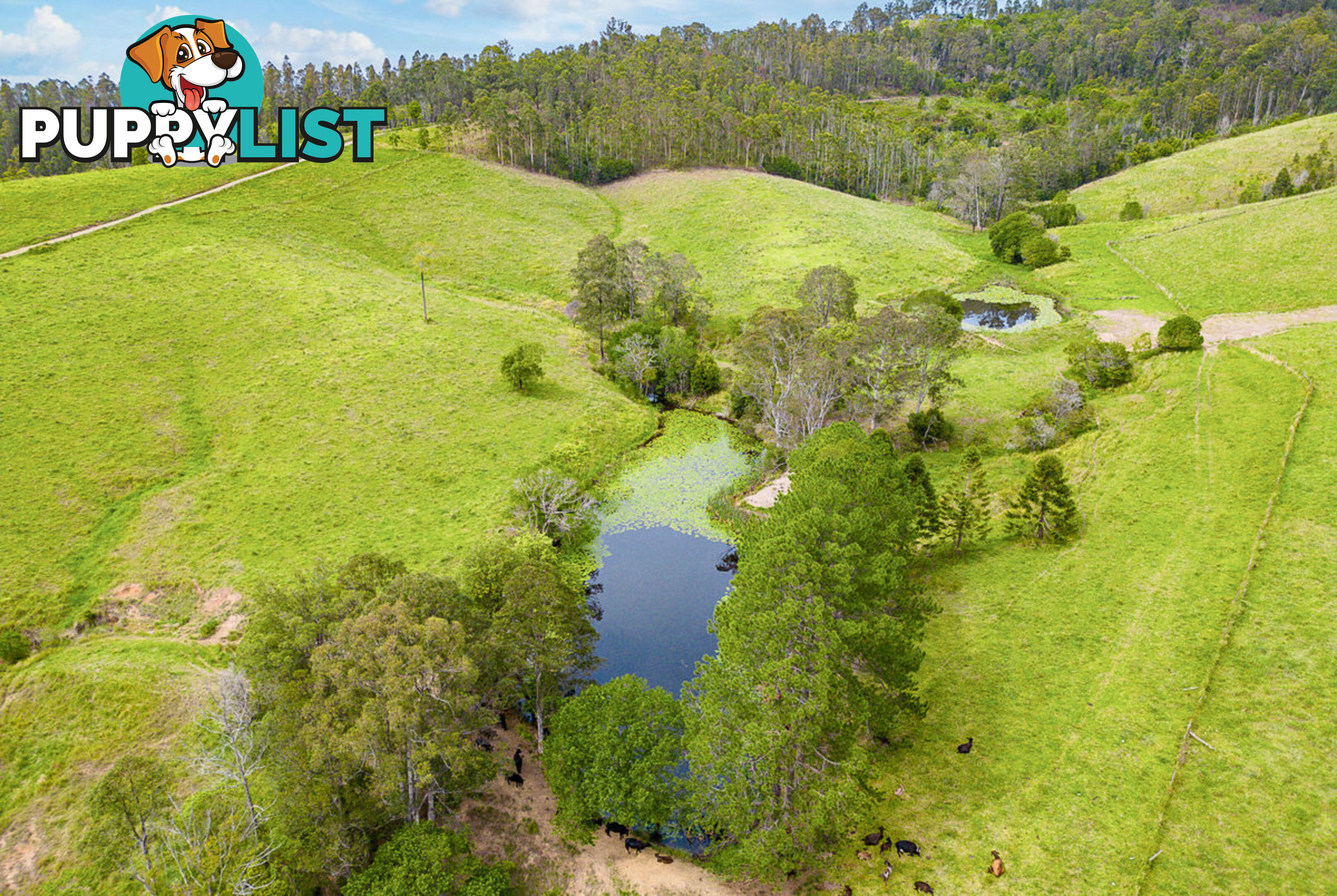 353 Rhones Creek Road TALARM NSW 2447