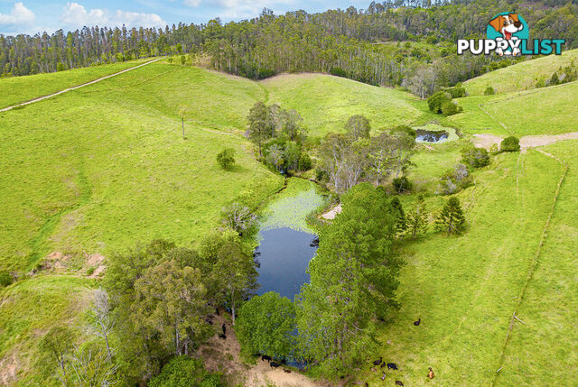 353 Rhones Creek Road TALARM NSW 2447