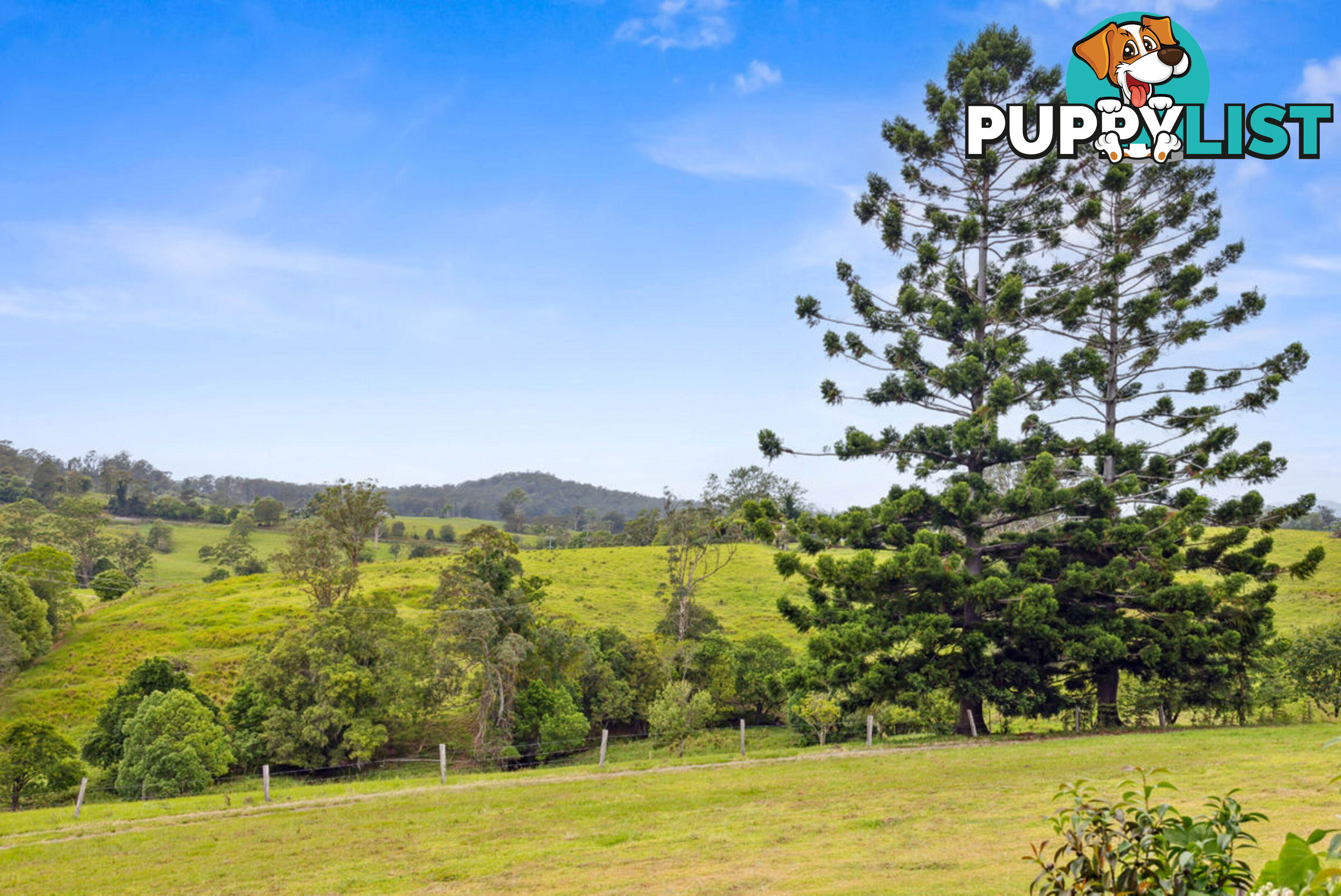 353 Rhones Creek Road TALARM NSW 2447