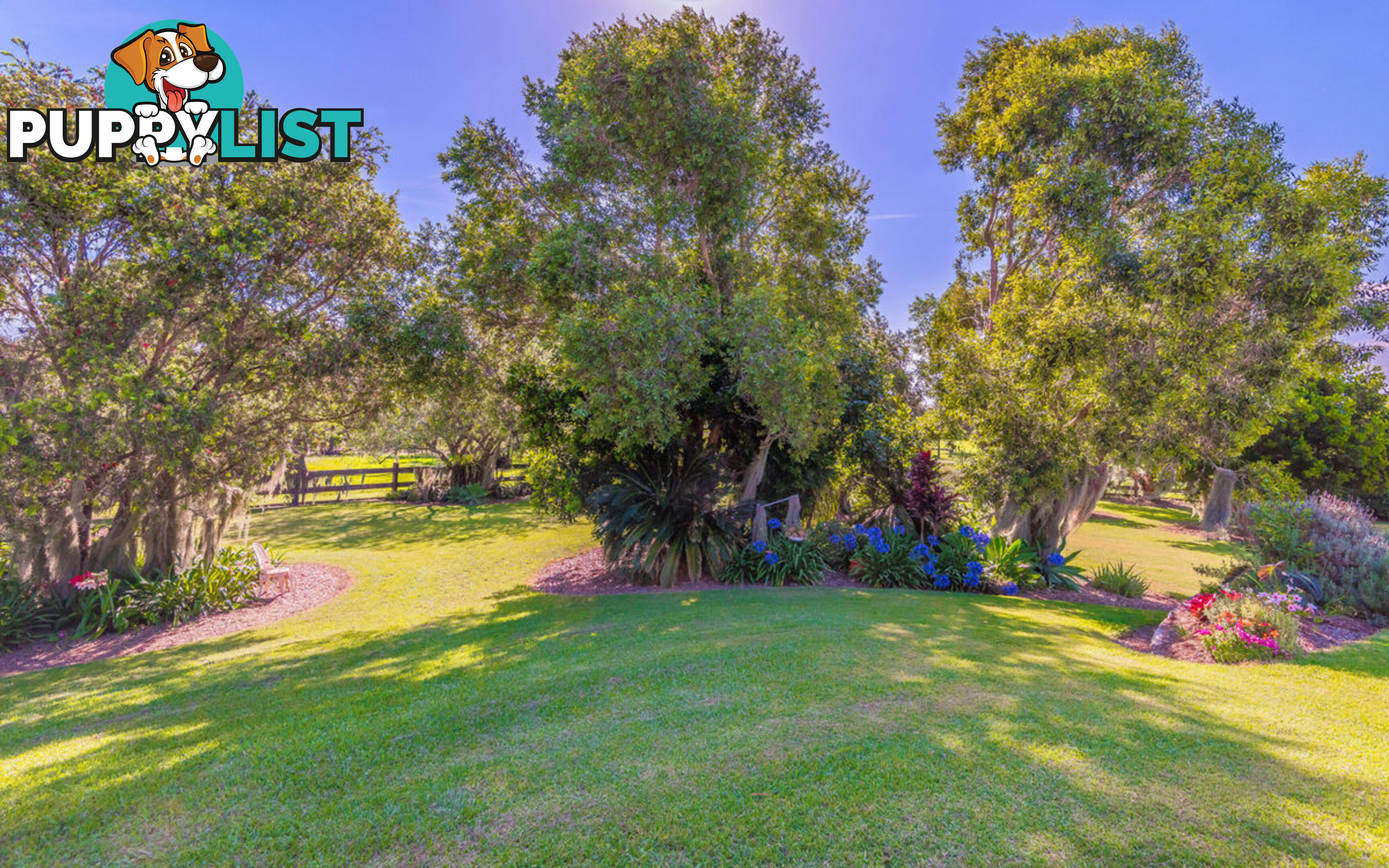 467 Great Marlow Road GRAFTON NSW 2460