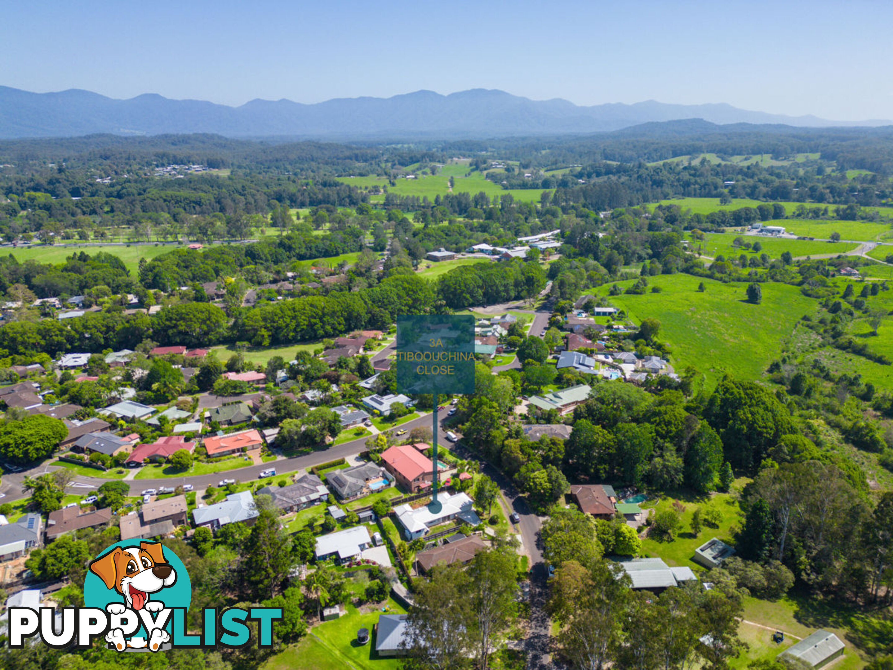 3a Tibouchina Close BELLINGEN NSW 2454