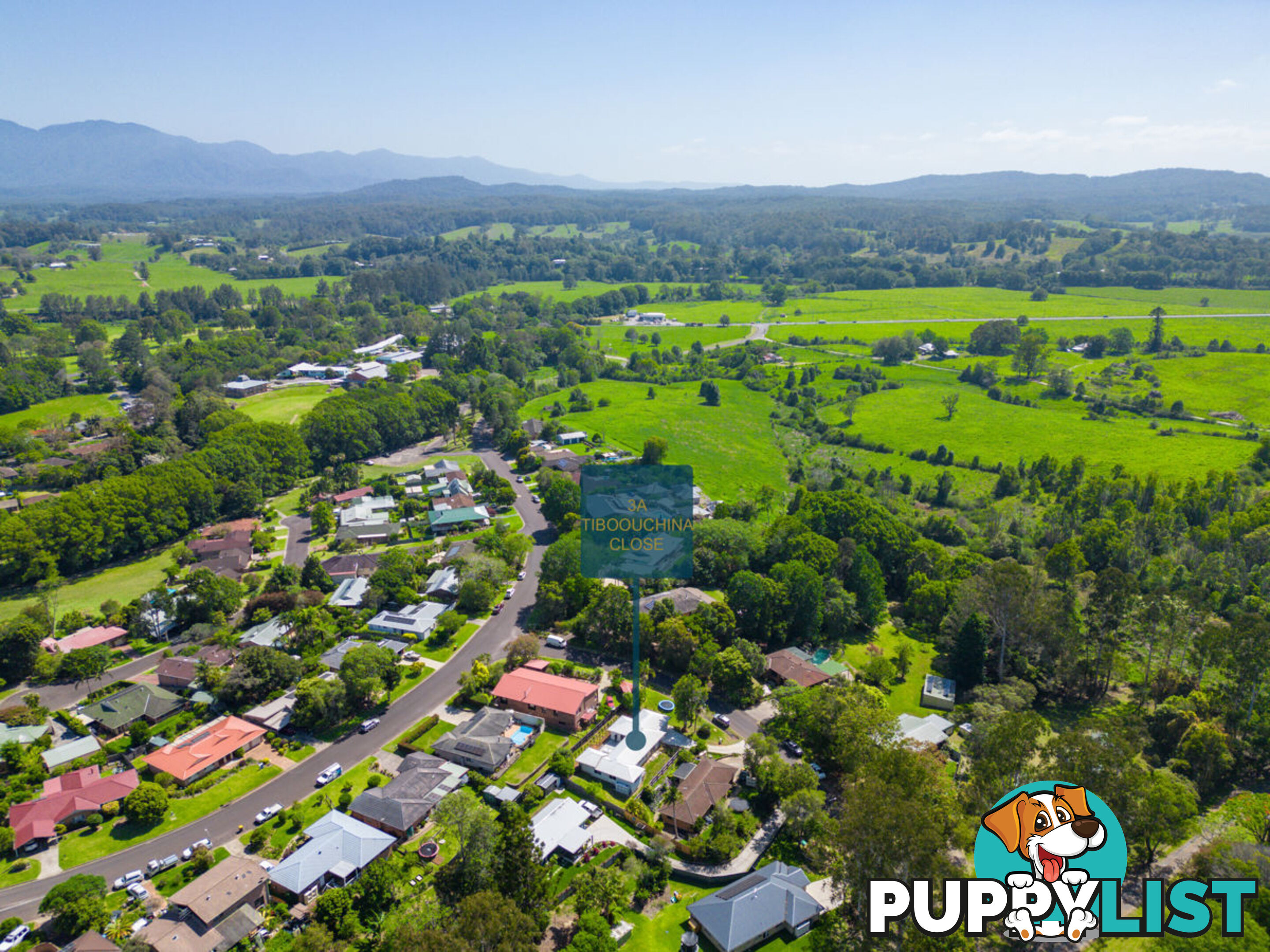 3a Tibouchina Close BELLINGEN NSW 2454