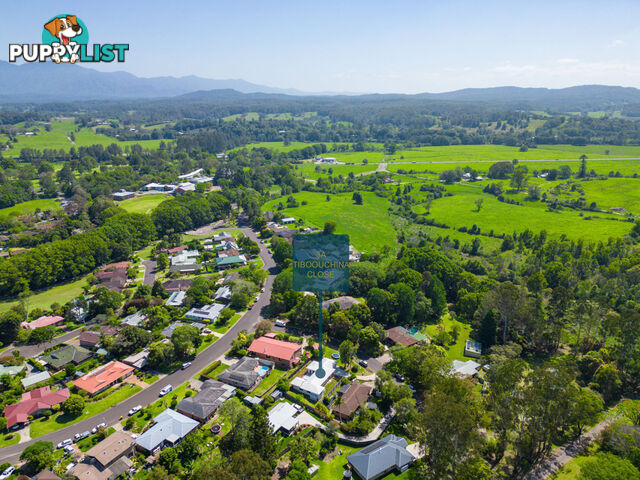 3a Tibouchina Close BELLINGEN NSW 2454