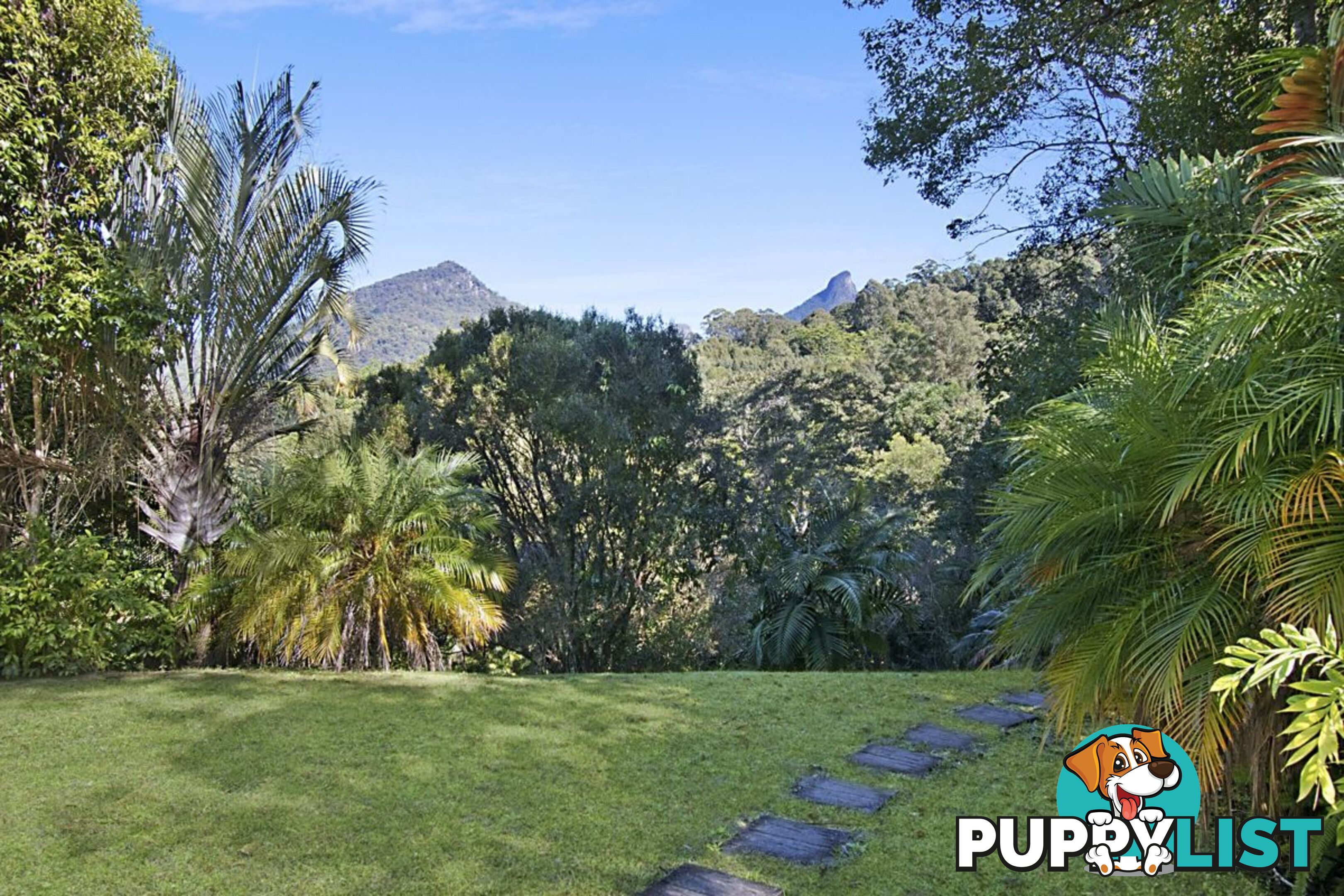 112 Mount Warning Road MOUNT WARNING NSW 2484