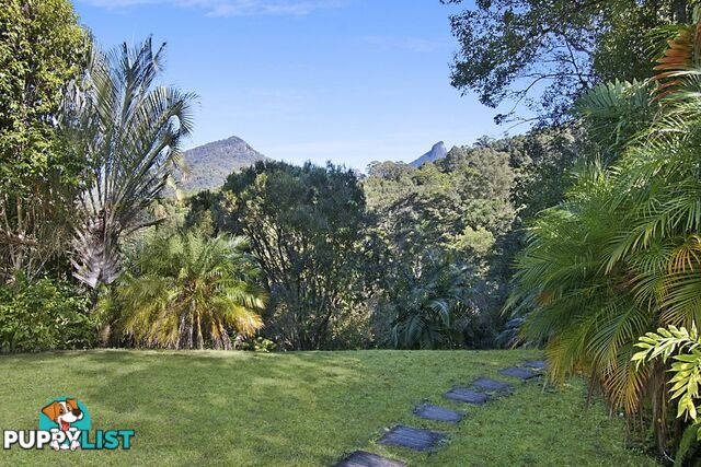 112 Mount Warning Road MOUNT WARNING NSW 2484